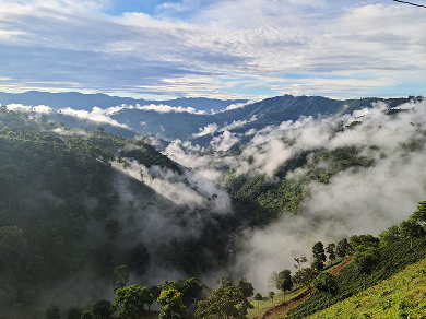 Paisaje de montaña cafetera